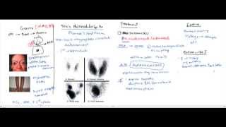 Hypothyroidism Hyperthyroidism Thyroid Storm for the USMLE [upl. by Nythsa]