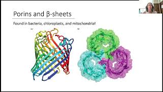 Lipid Bilayer 5 [upl. by Towne]