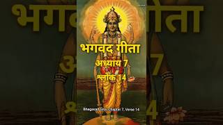 Bhagavad Gita Chapter 7 Shloka 14  gita 714  गीता सार [upl. by Herm]