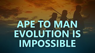 The impossibility of ape to human evolution [upl. by Cadmann]