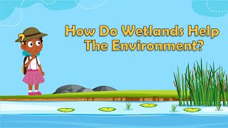 How Do Wetlands Help The Environment  Wetlands Facts  Environmental Facts for Kids  Fun Facts [upl. by Feinberg]