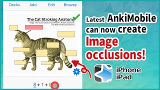 AnkiMobile can now create Image occlusions  Image cloze deletions for iPone and iPad [upl. by Mallissa105]