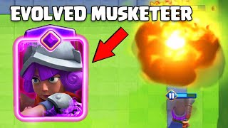 EVOLVED MUSKETEER [upl. by Aerdnas]