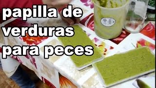 comida casera para peces papilla de verduras [upl. by Apfel]