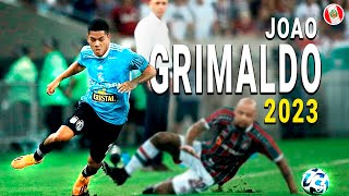 ASÍ JUEGA JOAO GRIMALDO  Mejores Jugadas ● 2023ᴴᴰ [upl. by Mast427]