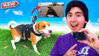 Le puse una GOPRO a Mi Perro y No Creerás lo que pasó 😱 [upl. by Idnor240]