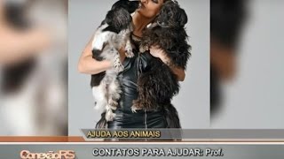 Veterinária da ULBRA lança calendário para ajudar pets [upl. by Eselehs16]