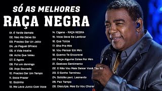 RAÇA NEGRA  So As Melhores  Enganchados [upl. by Uzzia]