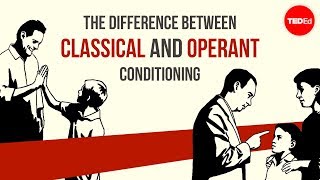 The difference between classical and operant conditioning  Peggy Andover [upl. by Olnee820]