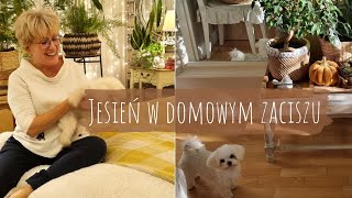 JESIEŃ W DOMOWYM ZACISZU 493 [upl. by Lleda]