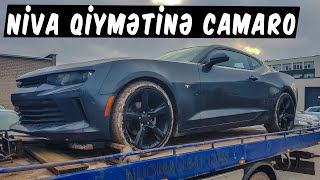 CHEVROLET CAMARO ALDIM NIVA QİYMƏTİNƏ 7800 AVRO [upl. by Ettennor594]