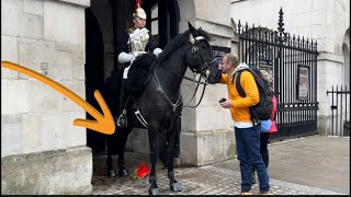 Someone thrown flower 🌷 inside horse box  Horse Guards Parade [upl. by Merkley832]