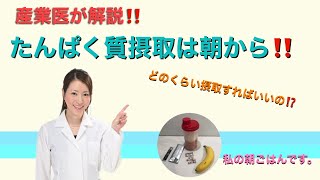 【産業医が解説‼️】朝からたんぱく質を摂取しましょう！ [upl. by Anitap]