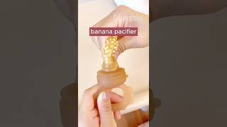 Baby Fruit Feeder Pacifier [upl. by Erapsag]