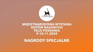 Felis Posnania  Nagrody Specjalne na Międzynarodowej Wystawie Kotów Rasowych Poznań 2024 [upl. by Jacquette910]