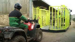 Gecko Cattle Handler  Calving crate  Cow catcher [upl. by Beaston]