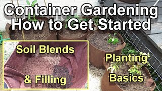 A Complete Guide to Filling Placing and Planting a Container Garden Basic Principles to Adapt [upl. by Anaeda]