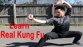 Shaolin Kung Fu Wushu Basic Form Training For Beginners [upl. by Treborsemaj]