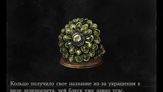 Dark Souls 3 Chloranthy Ring  Кольцо с зеленоцветом [upl. by Delwin949]