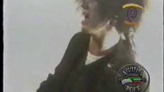 Caifanes  La bestia humana video inedito [upl. by Laubin337]