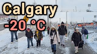 Snowfall and Extreme Cold in Calgary Alberta Canada Calgary winter Walking tour Calgary snow [upl. by Mauchi]