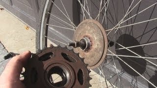 How to Change a FreewheelCassette on a Bicycle [upl. by Pritchett]