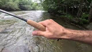 Cavedano a mosca secca in fiume Dry Fly Chub  Flyfishing for River Chubs [upl. by Mcnamara267]