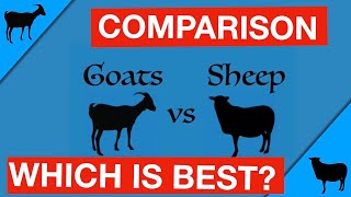 Goats vs Sheep Which Is Right for You [upl. by Nafets]