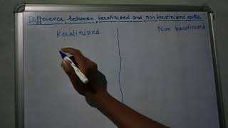 Difference between Keratinized and non keratinized epithelium [upl. by Peh]