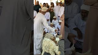 friday Goat Market Oman Nizwa [upl. by Eenaj]