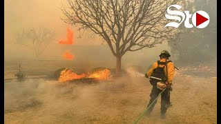 Incendios forestales han devastado más de 200000 hectáreas en Texas [upl. by Atenek]