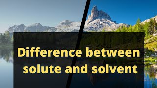 difference between solvent and solute shorts solvent solute [upl. by Rivera]