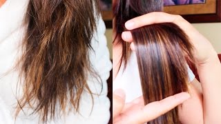 TRATAMIENTO CASERO PARA EL CABELLO SECO Y MALTRATADO CABELLO SIN FRIZZ Y SIN PUNTAS ABIERTAS [upl. by Oap789]