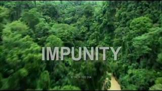 documental IMPUNITY Hollman Morris horror de los paramilitares en Colombia [upl. by Nalaf]