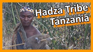 Tanzania  Hadza Tribe Hunters amp Gatherers [upl. by Harvison]