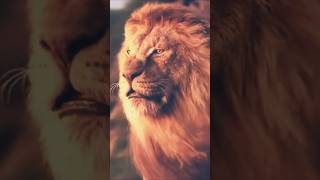 Lion is the king short youtubeshorts viralshorts [upl. by Judye]