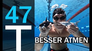 ATEMTRAINING  BESSER ATMEN  SCHNELLER SCHWIMMEN  PLAN 47 [upl. by Tamma738]