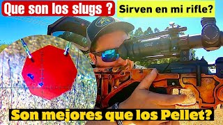 SLUGS VS PELLETS POSTONES  LA PROXIMA ERA [upl. by Inilahs472]