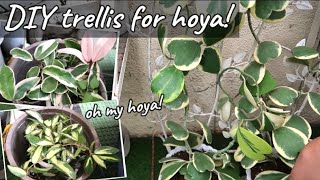 I CHANGE MY HOYAS TRELLIS TO MAKE IT MORE LUSH [upl. by Adamson]