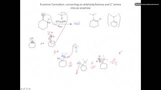 Enamine formation [upl. by Hanad350]