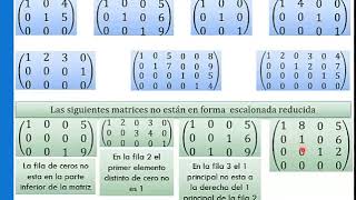 Matriz escalonada reducida [upl. by Galvin]