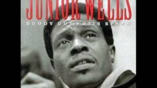 Junior Wells I Cant Get No Satisfaction [upl. by Lomasi805]