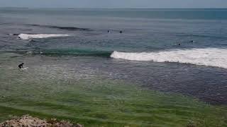 COTTESLOE BEACH WA 14 [upl. by Shaun206]