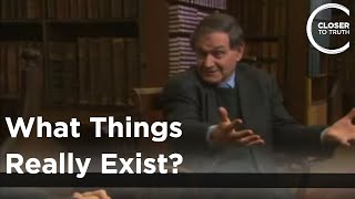 Roger Penrose  What Things Really Exist [upl. by Atnauq]