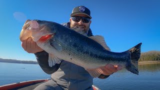 Cold Winter Bass Fishing Tubes Jigs and Mega Live Sonar [upl. by Ronyar]