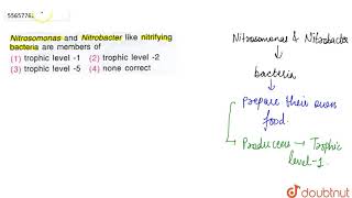 Nitrosomonas and Nitrobacter like nitrifying bacteria are members of [upl. by Derfiniw]