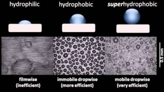 Comparison of condensation on hydrophilic hydrophobic and superhydrophobic surfaces [upl. by Uis]