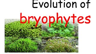 Plant evolution  bryophytes evolution [upl. by Ecar921]