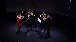 Grażyna Bacewicz Quartet for Four Violins [upl. by Skipp899]