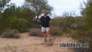 How to Hunt with a Cold Steel Blowgun [upl. by Ilhsa]